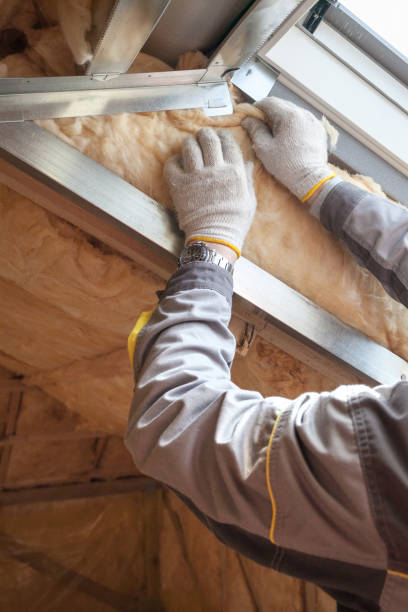 Best Residential Insulation in Stanley, ND