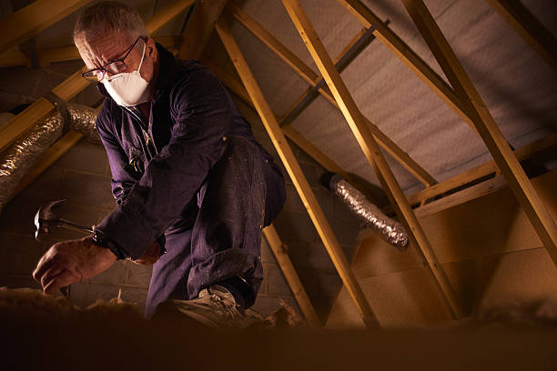 Best Insulation Maintenance and Repair in Stanley, ND